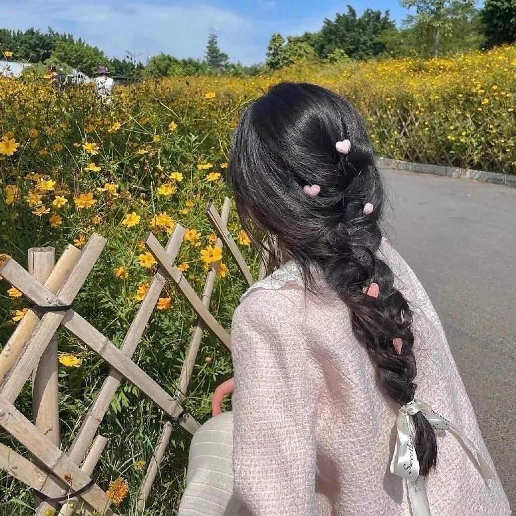 南方的愿望